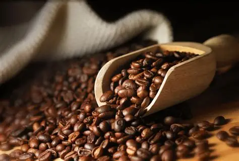Café En Grain